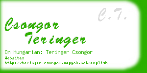 csongor teringer business card